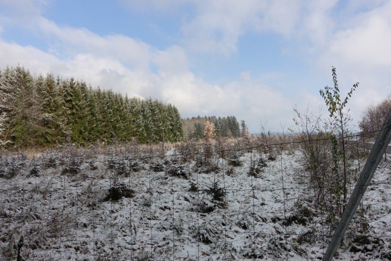 Grundst�ck Schnaitsee Land- / Forstwirtschaft - Grdst. Gut erreichbares Ackergrundst�ck in attraktiver Lage - ca. 6.600 m� in Schnaitsee