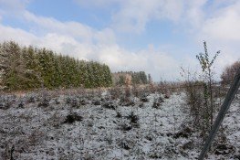 Hauptbild Gut erreichbares Ackergrundst�ck in attraktiver Lage - ca. 6.600 m� in Schnaitsee