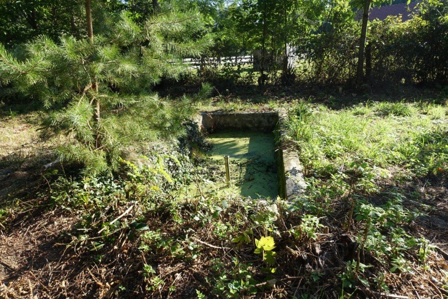 Wasserbecken Freizeitgrundst�ck Buchbach