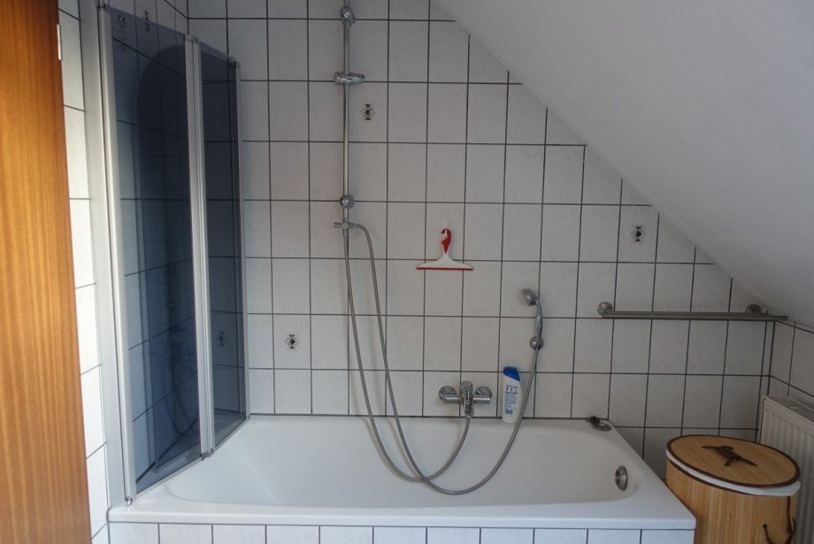 Bad, BW Dachgeschosswohnung Mannheim